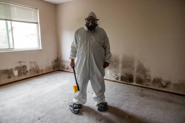 Why You Should Choose Our Mold Remediation Services in Chesterbrook, PA